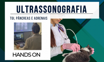 Ultrassonografia de Rotina - Varreduras Difíceis