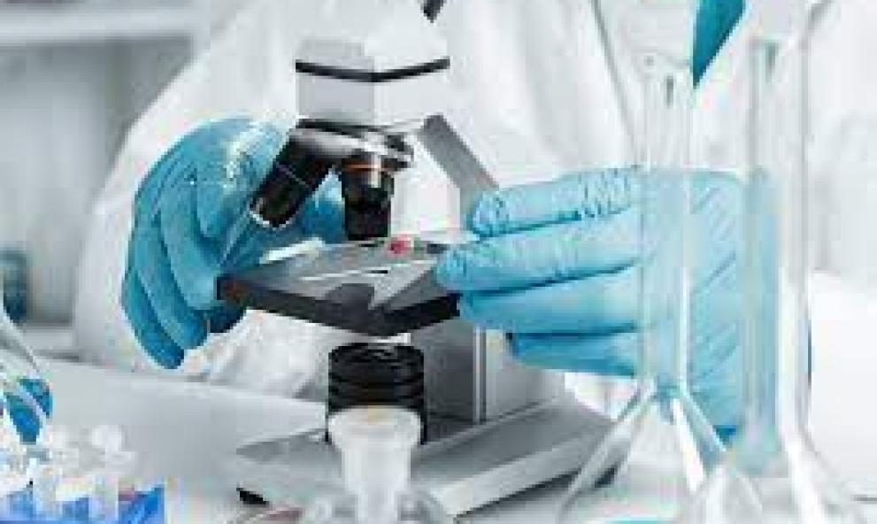 Live Exames Laboratoriais aplicados a Estétia