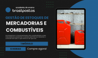 Gestão de Estoques de Mercadorias e Combustíveis 