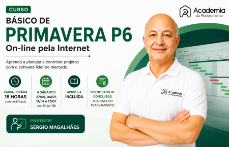Curso Básico de Primavera P6 On-line pela Internet