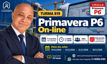 Turma 819 - Primavera P6 On-line