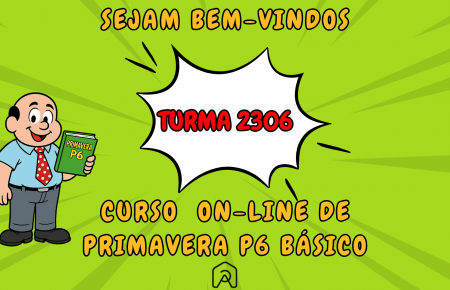 816-TREINAMENTO DE PRIMAVERA P6 – ON-LINE – TURMA 2306
