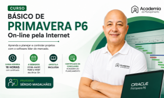 Curso Básico de Primavera P6 On-line pela Internet
