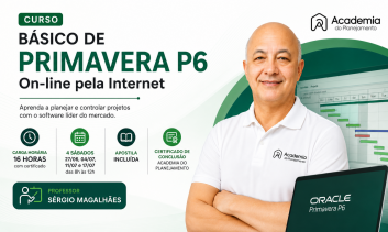 Curso Básico de Primavera P6 On-line pela Internet