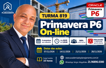 Turma 819 - Primavera P6 On-line
