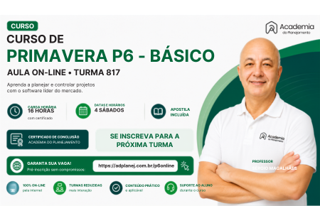 817 – Treinamento de Primavera P6 – On-Line