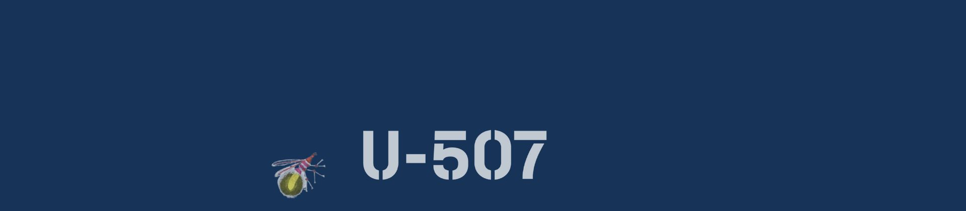 A história do Brasil que o Brasil pouco conhece - conversa sobre o livro U-507. Com Ananda Luz, Felipe Cavalcante e Roger Mello