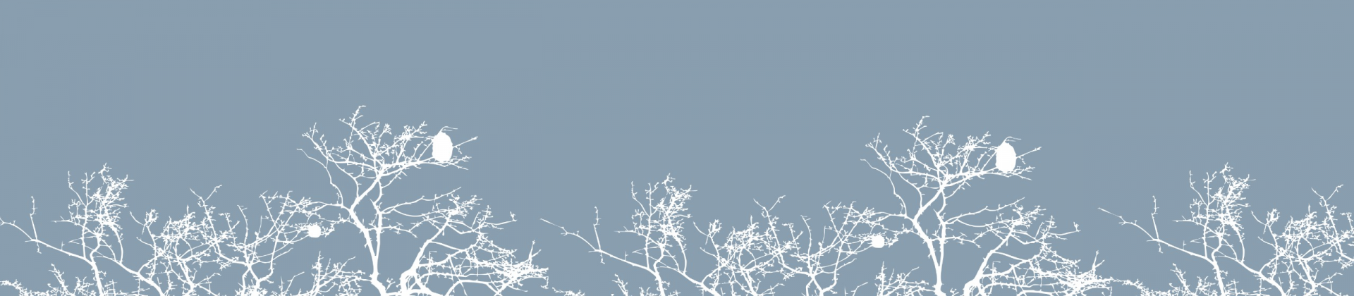 Aula Magna - Saber cuidar: Ética do humano - compaixão pela terra com Leonardo Boff