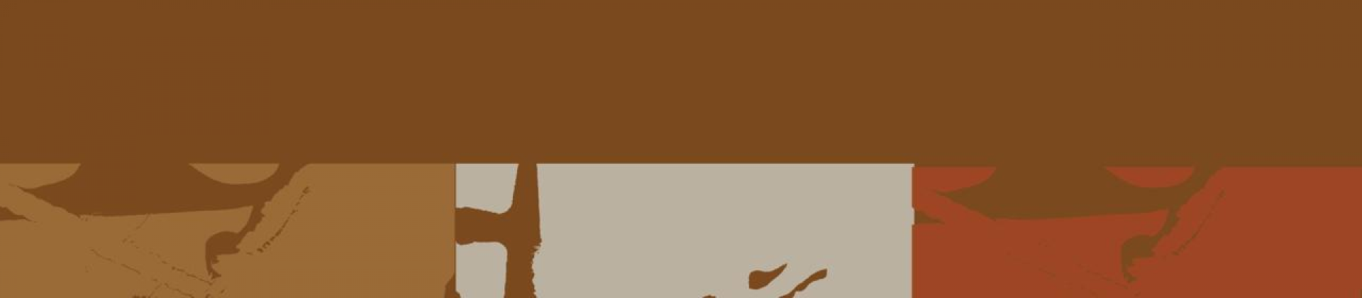 Entrelaçando Experiências - Um módulo ERER