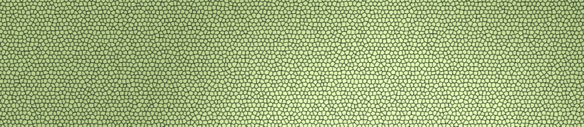 Aula experimental e gratuita de Teatro para jovens