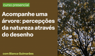 Acompanhe uma árvore: percepções da natureza através do desenho