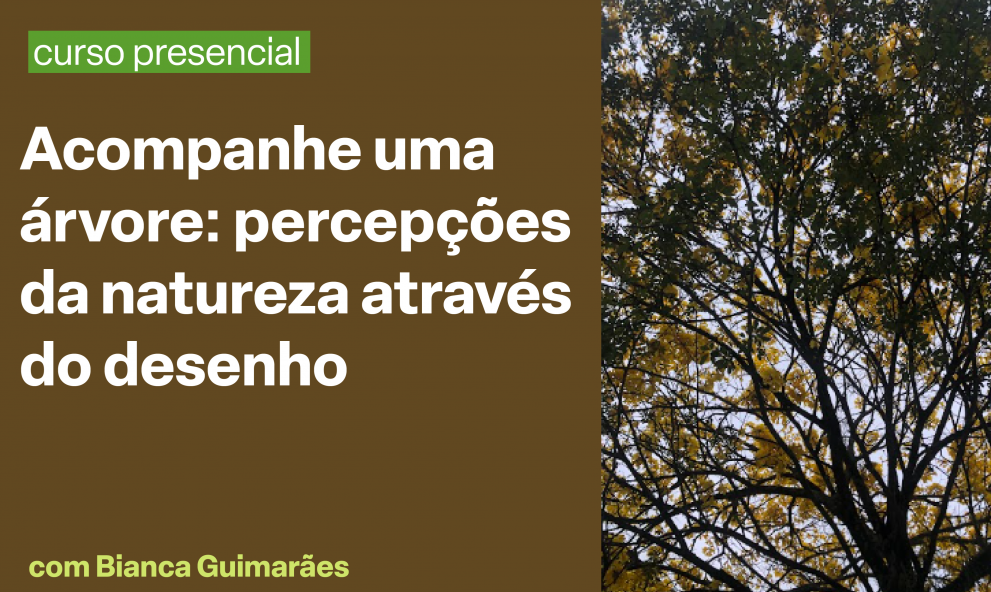 Acompanhe uma árvore: percepções da natureza através do desenho