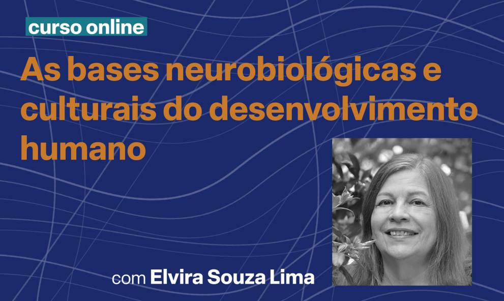As bases neurobiológicas e culturais do desenvolvimento humano