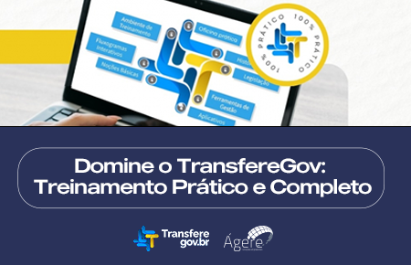Domine o TransfereGov: Treinamento Prático e Completo
