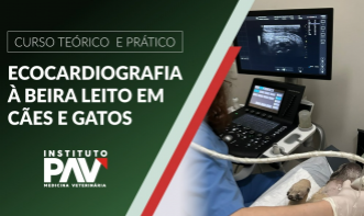 Ecocardiografia à beira leito em cães e gatos -  Teórico + Prático