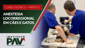 ANESTESIA LOCORREGIONAL - PRÁTICO