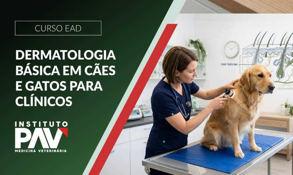 Dermatologia básica para clínicos