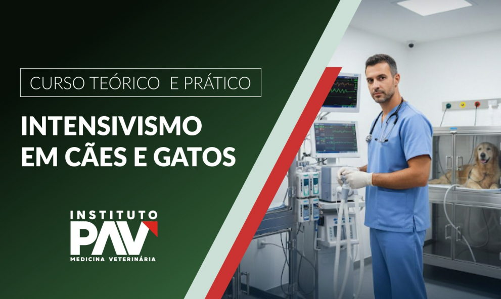 Intensivismo em cães e gatos - Rio de Janeiro