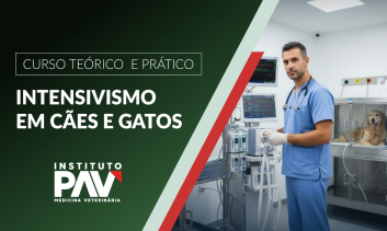 Intensivismo em cães e gatos - Rio de Janeiro