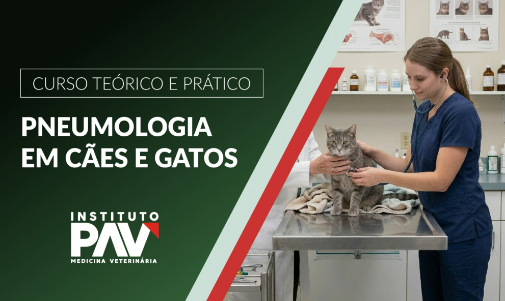 PAV SP - Pneumologia em cães e gatos: Principais Afecções Respiratórias