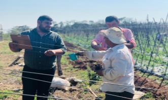 Diego Marcelo Toledo Mendoza