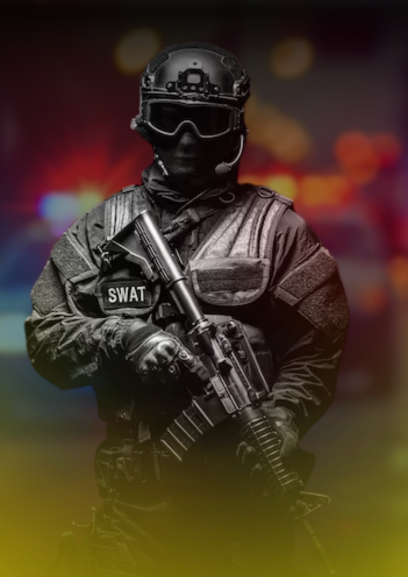  Gestão em Segurança Pública e Privada 