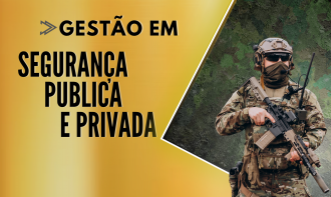  Gestão em Segurança Pública e Privada 