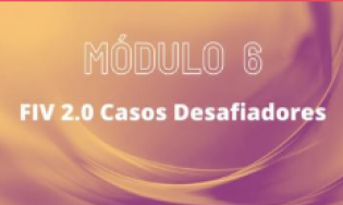 Turma 04 | Módulo 06 – FIV 2.0
