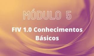 Turma 04 | Módulo 05 – FIV 1.0 – conhecimentos básicos