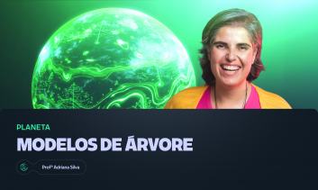 Modelos de Árvore