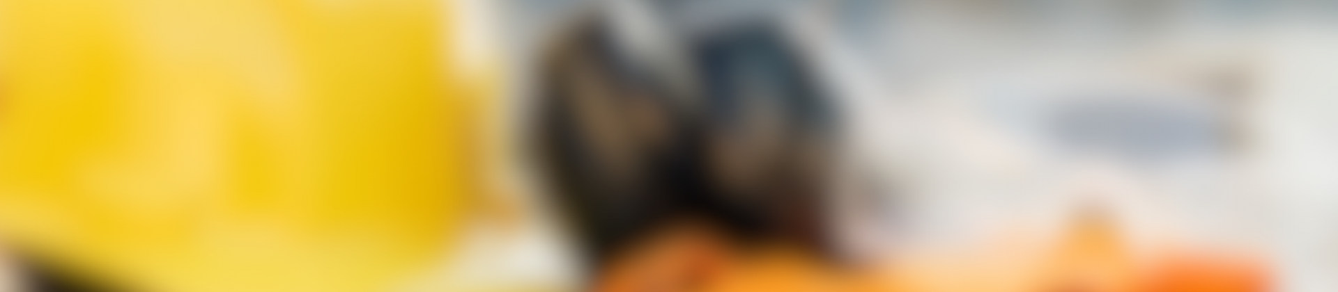 TÉCNICO EM SEGURANÇA DO TRABALHO