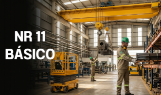 NR 11 - Transporte, Movimentação, Armazenagem de Materiais - Operação de Ponte Rolante, PTA e Empilhadeira 2026 - 8h