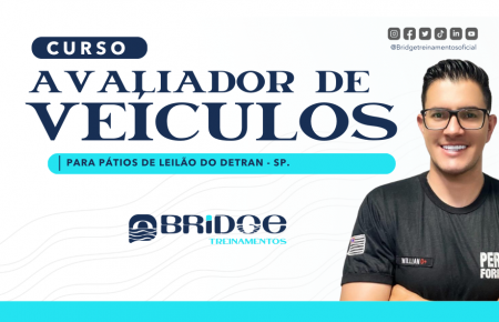 Avaliador de veículos para pátios do DETRAN-SP