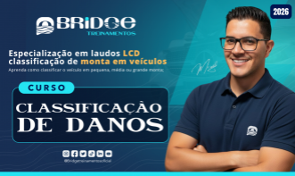  CLASSIFICAÇÃO DE DANOS