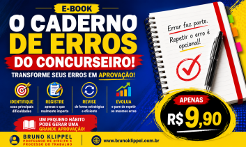 E-book Caderno de erros do concurseiro