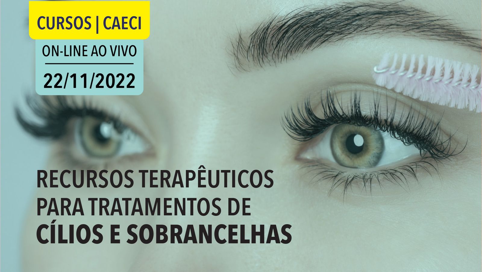 RECURSOS TERAPÊUTICOS PARA TRATAMENTOS DE CÍLIOS E SOBRANCELHAS - CAECI ...