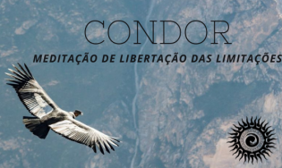 Meditação do Condor - Libertação das Limitações