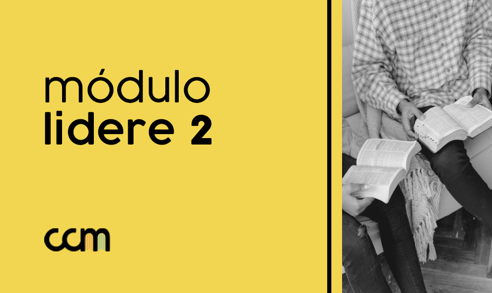 Lidere 2 ON-LINE