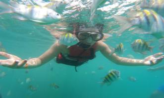 Caroline Dos Santos Generoso