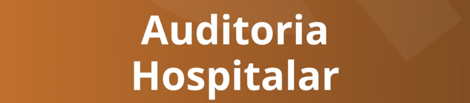 Auditoria Hospitalar