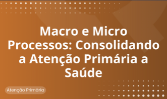 Macro e microprocessos: consolidando a atenção primária a saúde