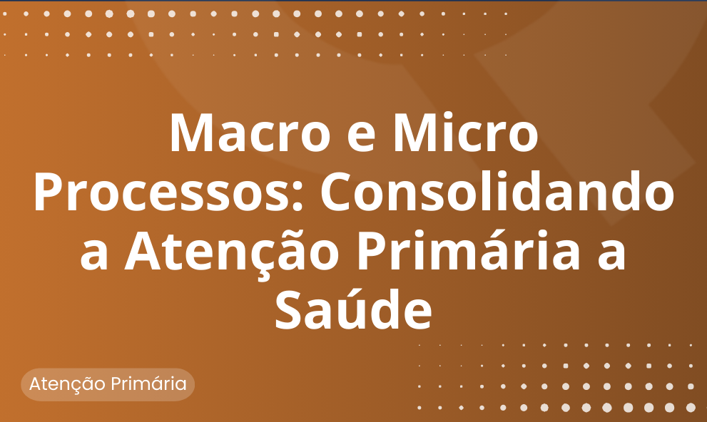 Macro e microprocessos: consolidando a atenção primária a saúde