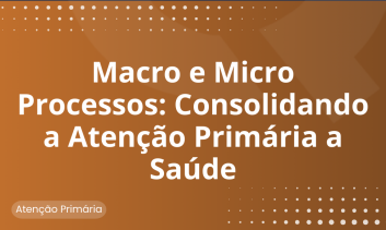 Macro e microprocessos: consolidando a atenção primária a saúde