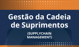 GESTÃO DA CADEIA DE SUPRIMENTOS (SUPPLYCHAIN MANAGEMENT)