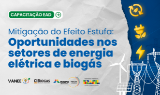 Mitigação do Efeito Estufa: Oportunidades nos Setores de Energia Elétrica e Biogás