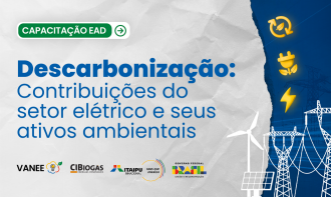 Descarbonização: Contribuições do Setor Elétrico e seus Ativos Ambientais