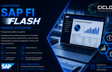 SAP FUNCIONAL FI FLASH