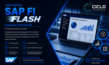 SAP FUNCIONAL FI FLASH