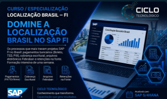 CICLO SAP Localização Brasil – FI