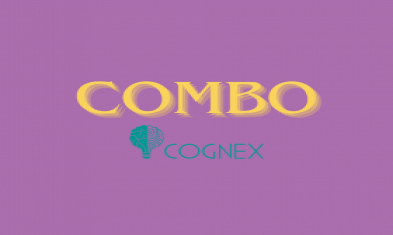 Combo Pais - Superdotação e Funções Executivas: Entendendo e Apoiando as Necessidades da criança Superdotada, Manual Básico da Superdotação, Curso para Pais: Inteligente, porém Disperso